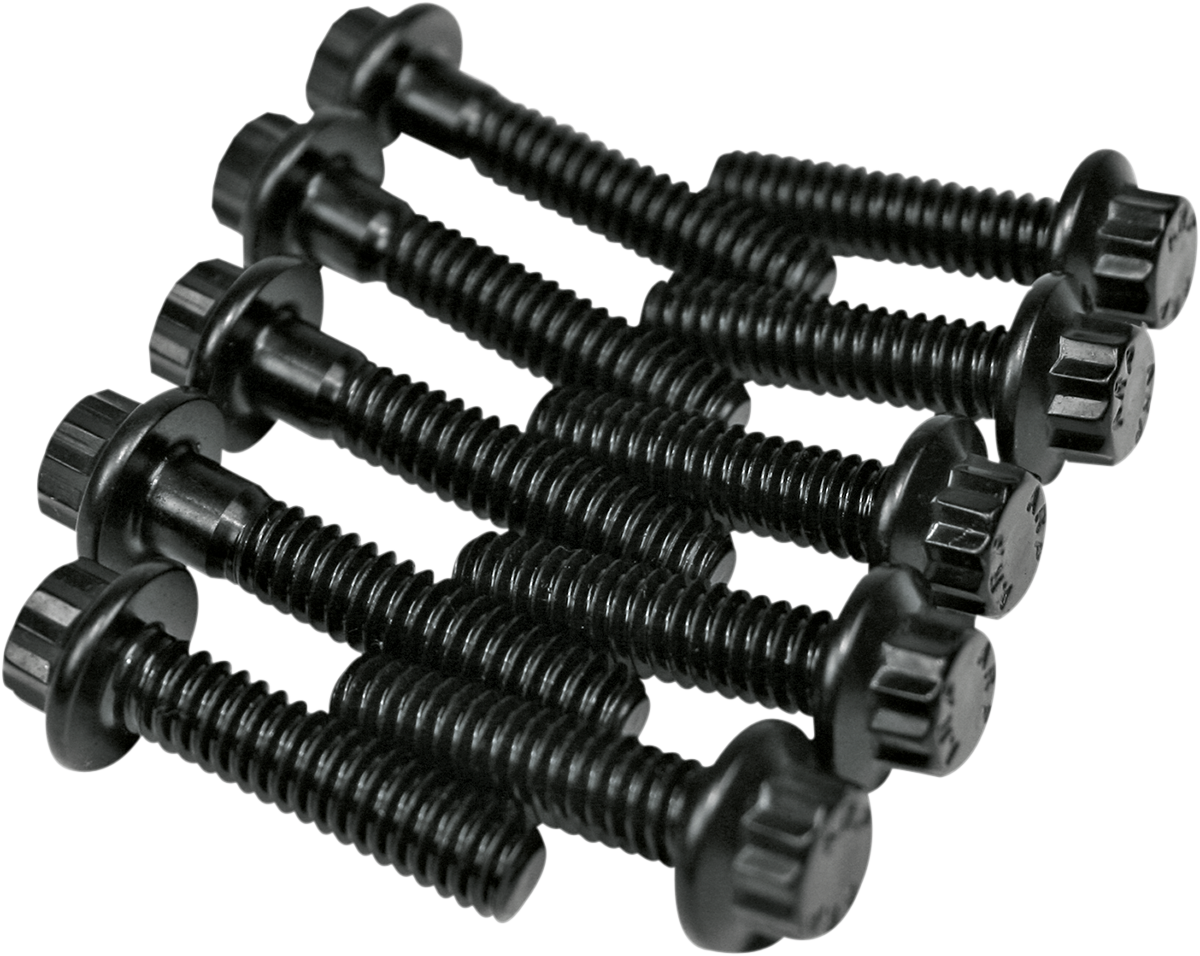 Feuling ARP Cam Plate / Oil Pump Bolt Kit — Twin Cam | 8020