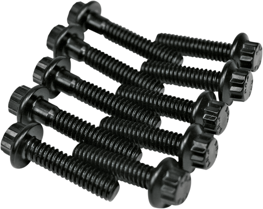 Feuling ARP Cam Plate / Oil Pump Bolt Kit — Twin Cam | 8020